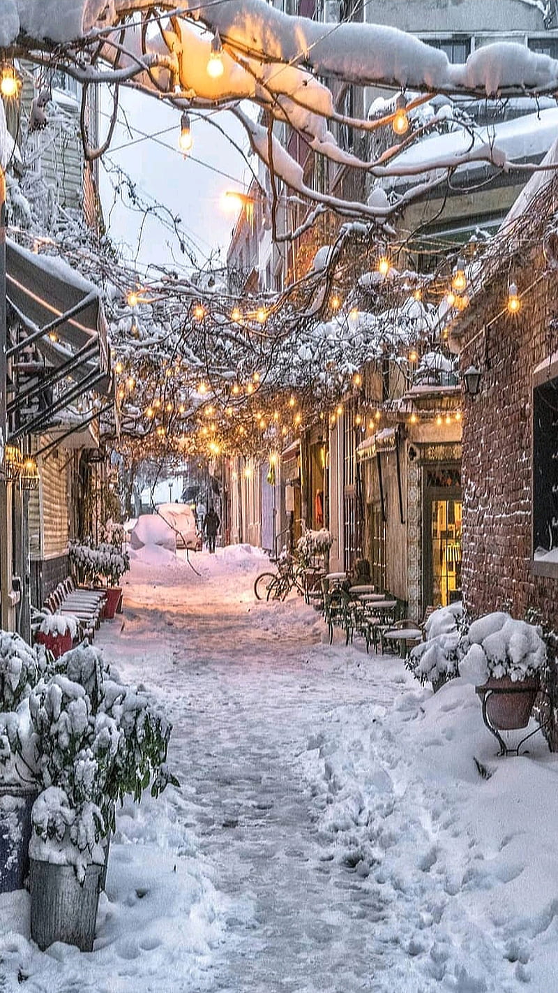 Winter, christmas, christmas lights, cold, houses, snow, snowy day, street, village, HD phone wallpaper