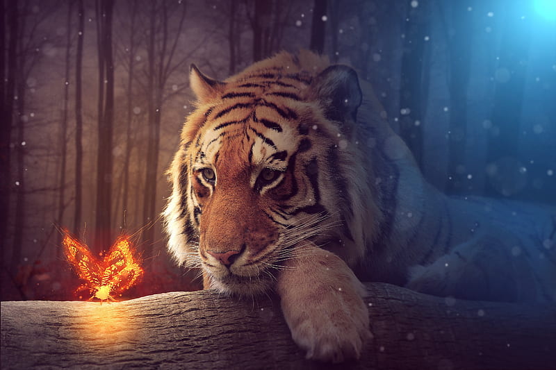 Tiger Dreamy Art, tiger, artist, art, HD wallpaper