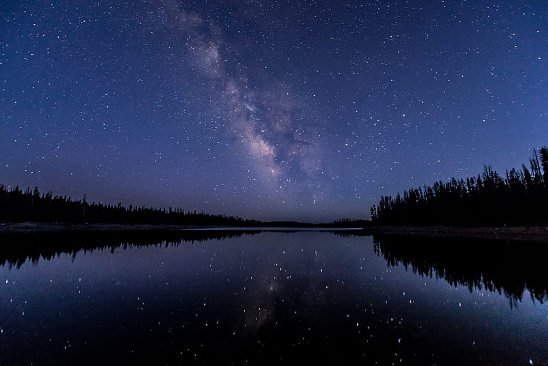 Earth, Night, Forest, Milky Way, River, Sky, Stars, HD wallpaper