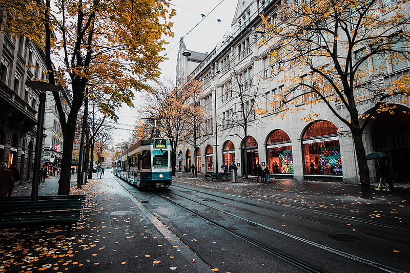 Late Autumn in a city, tram, city, autumn, urban, buildings, trees, street, HD wallpaper