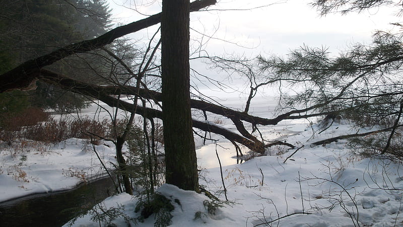 Goose Pond Stream, goose pond, sunset, keene, new hampshire, HD