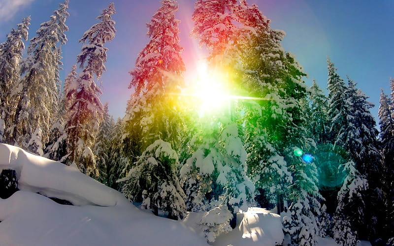 SNOW RAINBOW, rainbow, circle, trees, snow, HD wallpaper