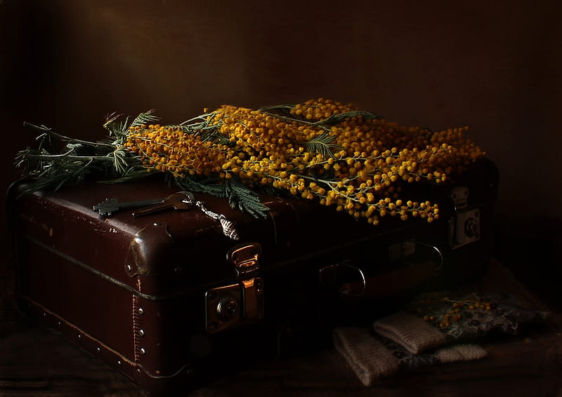 STILL LIFE, gloves, brown, yellow, leather suitcase, old, mimosa, HD wallpaper