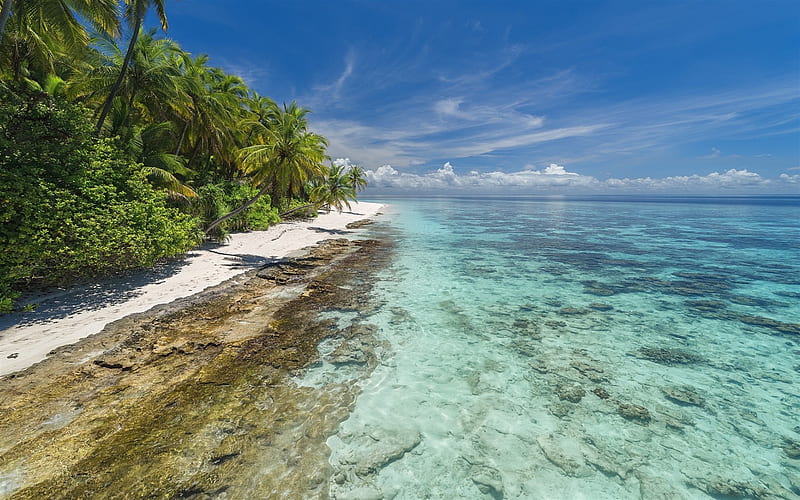 coast, tropical island, summer, palm trees, ocean, beach, sand, Maldives, HD wallpaper
