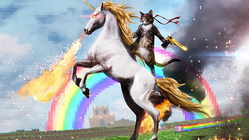 cat riding unicorn, rainbow, gun, cat, unicorn, grass, HD wallpaper