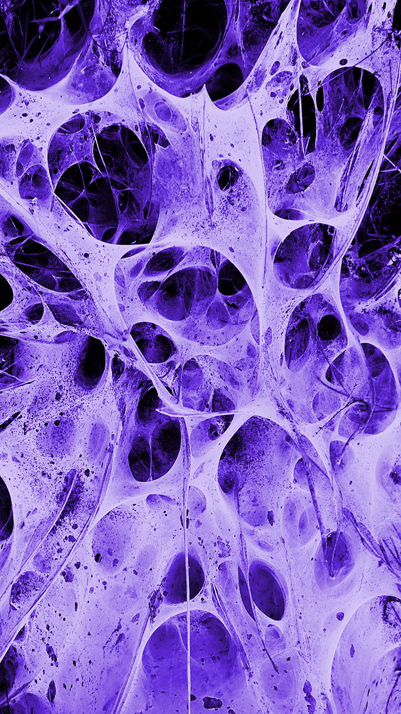 Neurons, complex, HD phone wallpaper