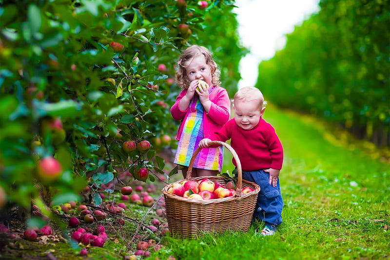 Tasting the apples, apple, autumn, children, cute, fruit, boy, girl, green, basket, copil, child, pink, couple, blue, HD wallpaper