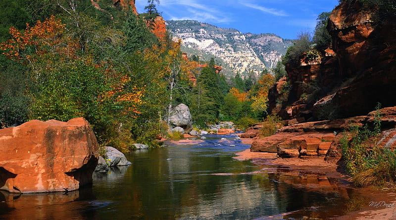 Fall Begins, forest, rocks, fall, autumn, trees, mountain, calm, river, shale, scenery, HD wallpaper