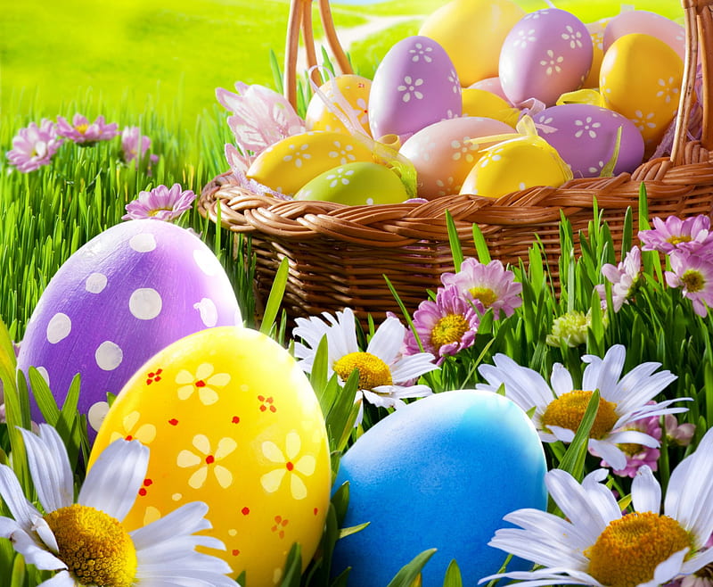 Easter Time, grass, basket, eggs, flowers, spring, easter, camomile, meadow, HD wallpaper