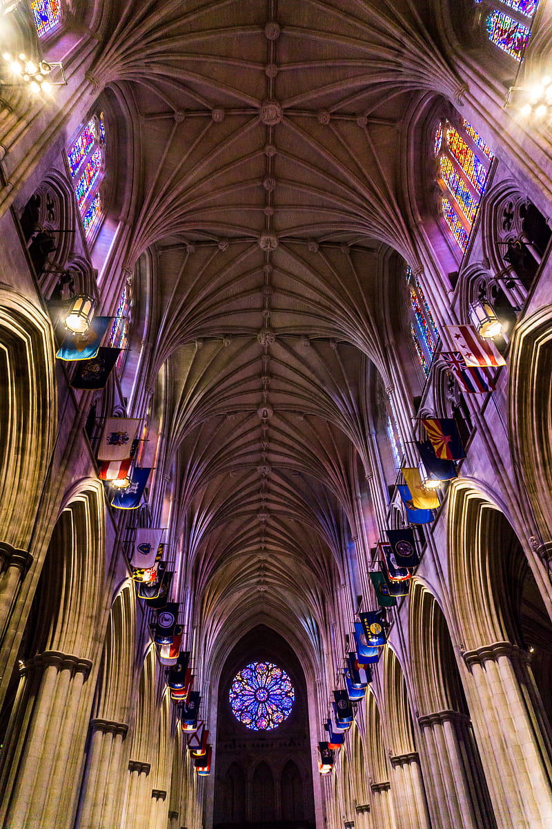 low angle shot interior graphy of cathedral with multicolored stained glass windows, HD phone wallpaper