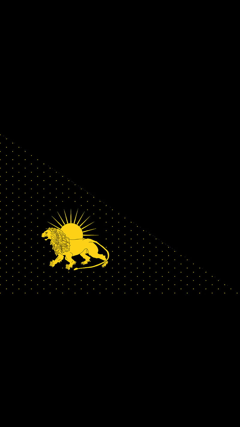 Mughal Flag Black, balck, empire, flag, india, mighal, HD phone wallpaper