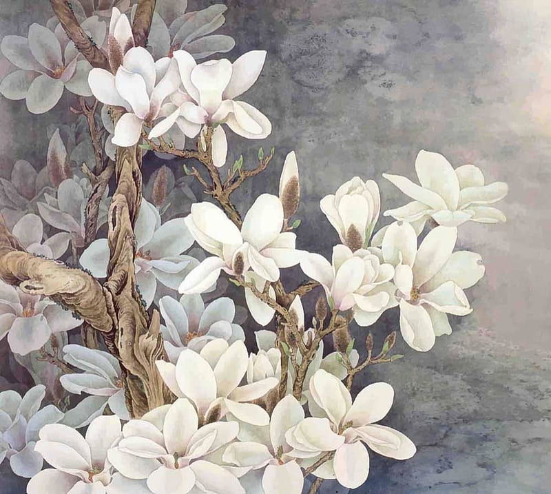 White magnolia, art, magnolia, chinese art, painting, flower, gris, spring, white, pictura, HD wallpaper