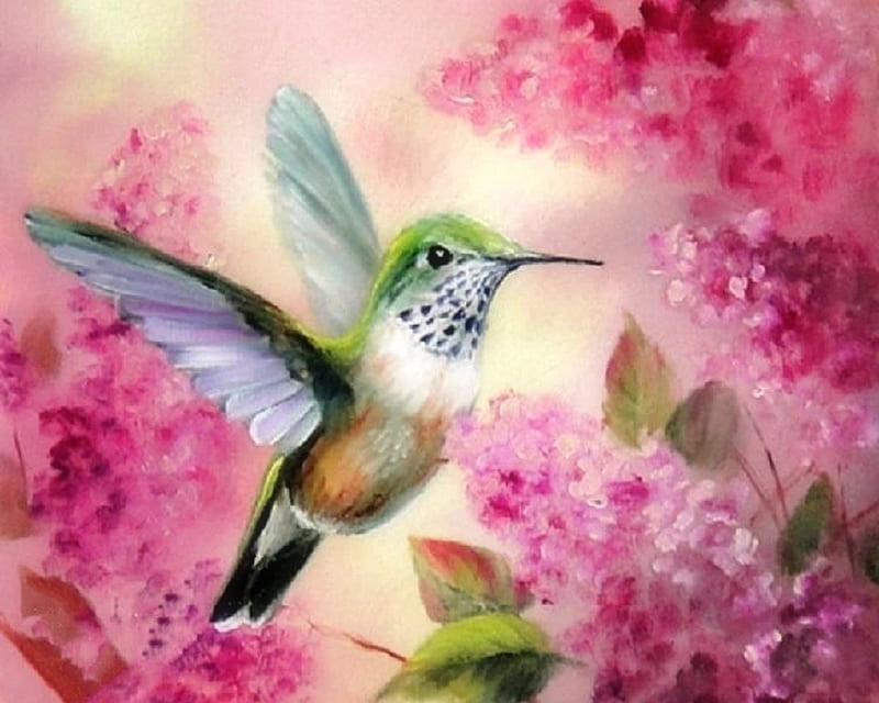 Dainty in Pink, paintings, birds, flowers, love four seasons, spring, hummingbird, pink, animals, HD wallpaper