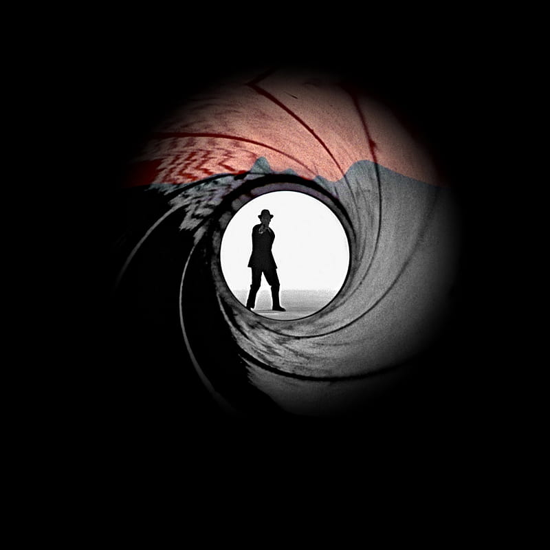 James Bond, 007, barrel, film, gun, movie, HD phone wallpaper