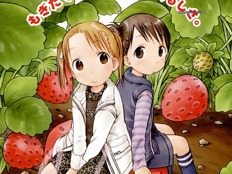 Ichigo-mashimaro 3, cute, girls, anime, strawberrys, HD wallpaper | Peakpx