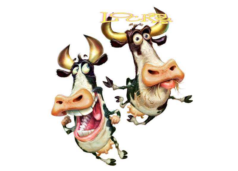 Vacas divertidas, vaca, caricatura, gary locke, gracioso, blanco, pareja,  animal, Fondo de pantalla HD | Peakpx