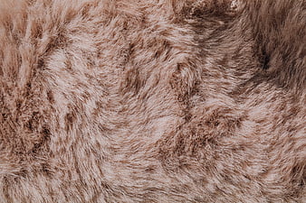Brown and Black Fur Textile, HD wallpaper | Peakpx
