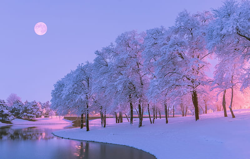 river, white, iarna, blue, winter, moon, peisaj, tree, water, moon, pink, HD wallpaper
