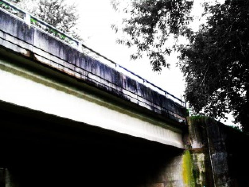Layered Creation, bridge, black, concrete, white, trees, corroded, HD wallpaper