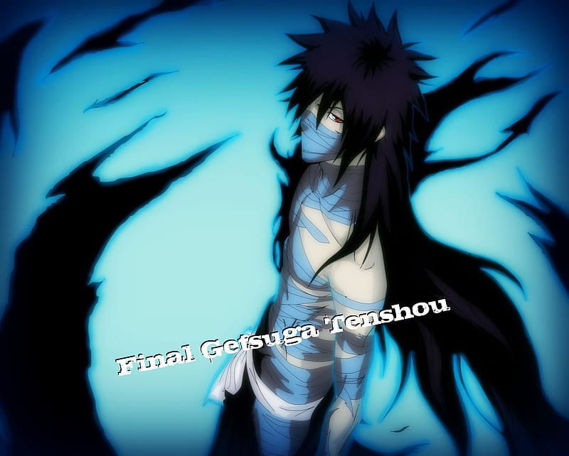 Final Getsuga Tenshou  Bleach anime art, Bleach anime, Bleach anime ichigo