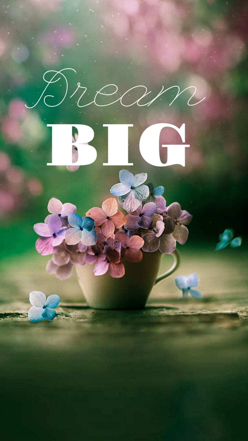Dream big, dreambig, flowers, goals, hope, prerrt, pretty, HD phone wallpaper