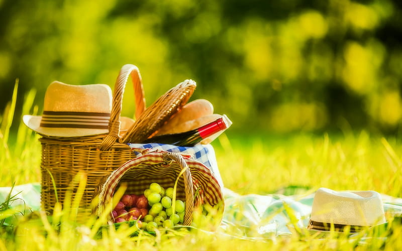 Outdoor Picnic, lovely still life, hats, grass, bottle, wine, bread, attractions in dreams, picnic, outdoors, grapes, green, basket, meadow, HD wallpaper