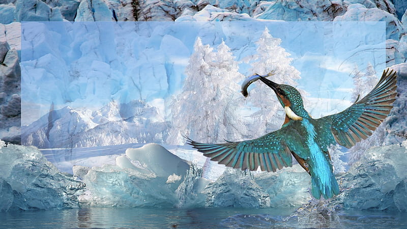 winter impressions, iceberg, trees, impressions, winter, kingfisher, cool, bird, snow, ice, polar, nature, white, landscape, animals, blue, HD wallpaper