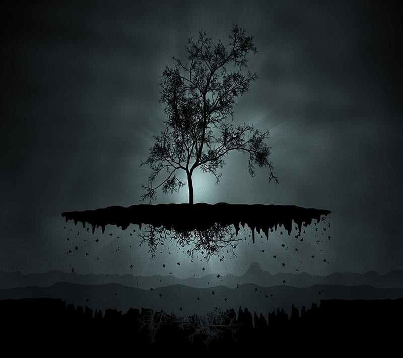 dark plant, earth, tree, HD wallpaper