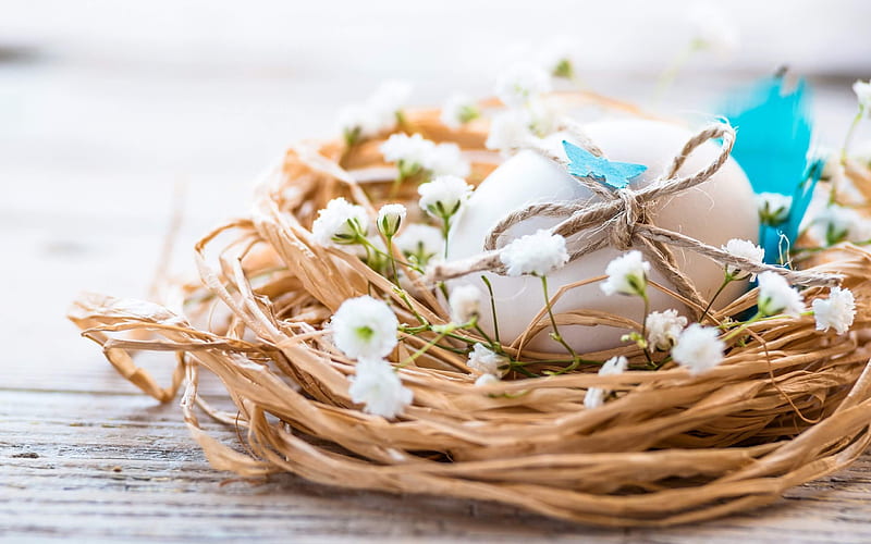 egg in the nest, Easter, spring, willow, easter egg, decoration, HD wallpaper