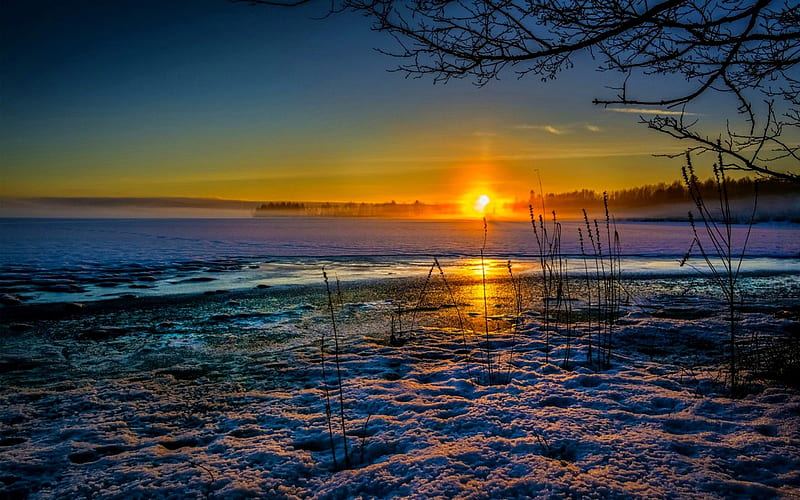 WINTER MORNING, sun, grass, sunset, lake, winter, cold, snow, dry, ice, HD wallpaper