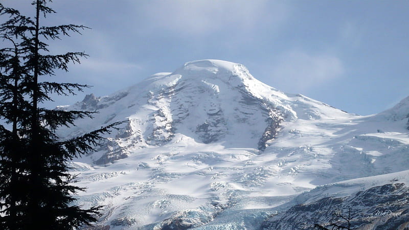 Mount Baker WA, forest, trees, sky, volcano, mountain, graphy, snow, majestic, Mount Baker, HD wallpaper