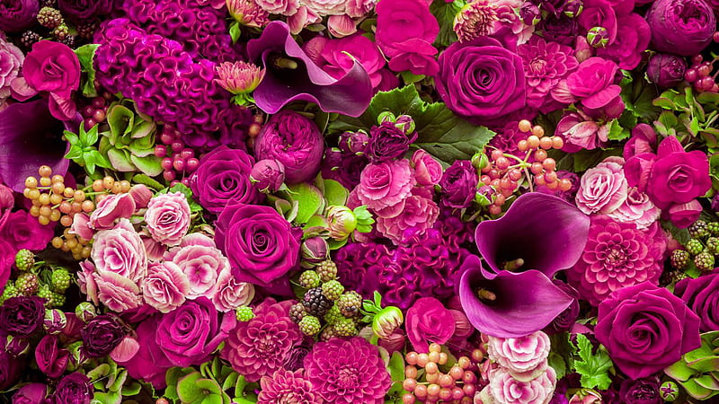 Manojo de luz rosa oscuro rosa violeta flores rosas plantas verdes flores,  Fondo de pantalla HD | Peakpx