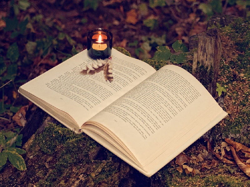 Autumn light, candle, still life, autumn, grass, book, feathers, HD wallpaper