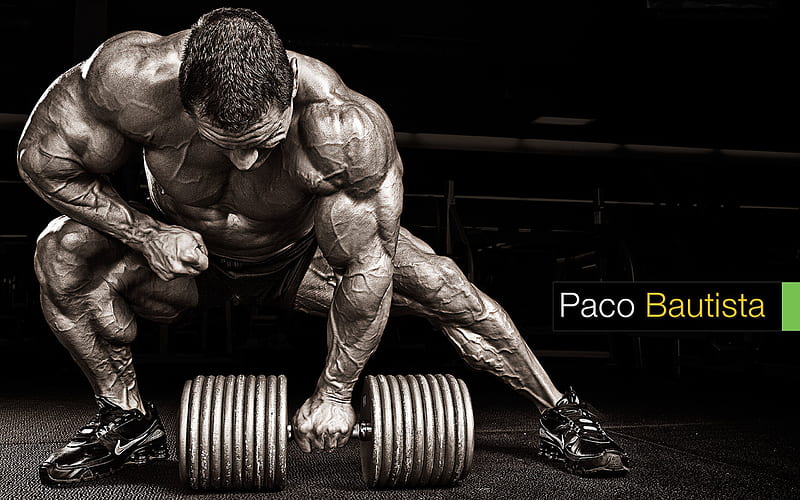 Celebrity, bodybuilding, muscle, paco bautista, HD wallpaper | Peakpx