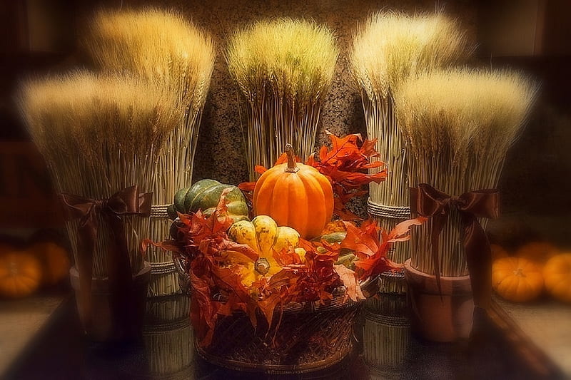 ✿⊱•╮Thanksgiving╭•⊰✿, lovely still life, fall, autumn, harvest, holiday, halloween, love four season, thanksgiving, foods, still life, leaves, graphy, decorations, basket, pumpkins, HD wallpaper