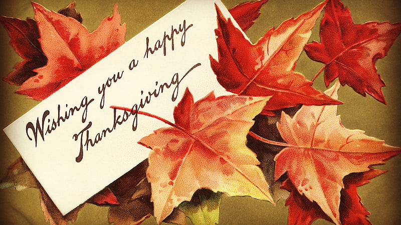 Wishing You A Happy Thanksgiving Word With Leaves Thanksgiving, HD wallpaper