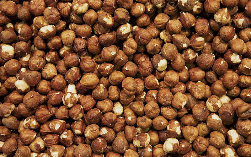 hazelnut texture, nuts background, hazelnut background, hazelnut, background with hazelnut, HD wallpaper