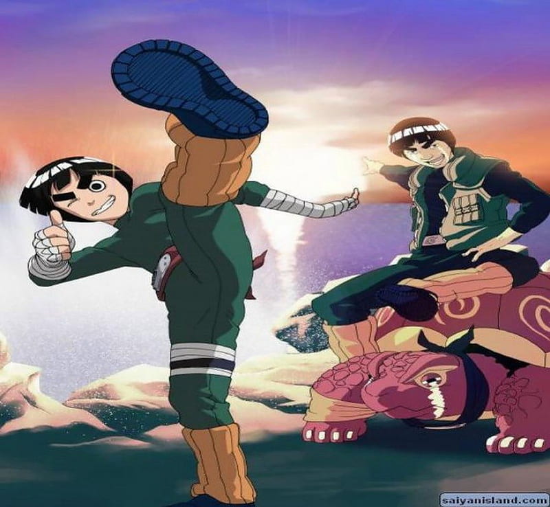 TaiJutsu,s Masters, rocklee, taijutsu, anime, gai sensei, HD wallpaper