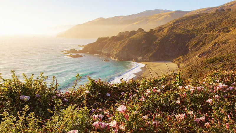 The Edge of Big Sur, california, pacific, plants, coast, rocks, usa, stones, mist, blossoms, flowers, HD wallpaper