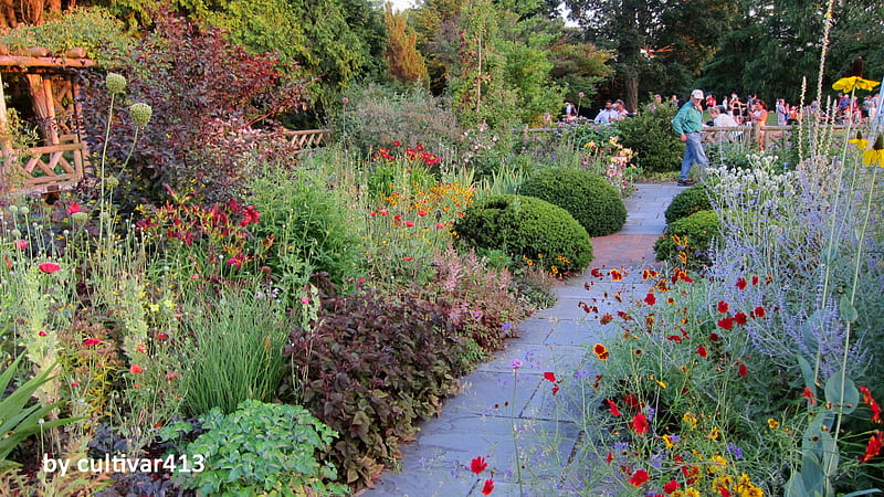 English Cottage Gardens - The Original Rambunctious Garden - Blog - Embassy Landscape Group, English Flower Garden, HD wallpaper