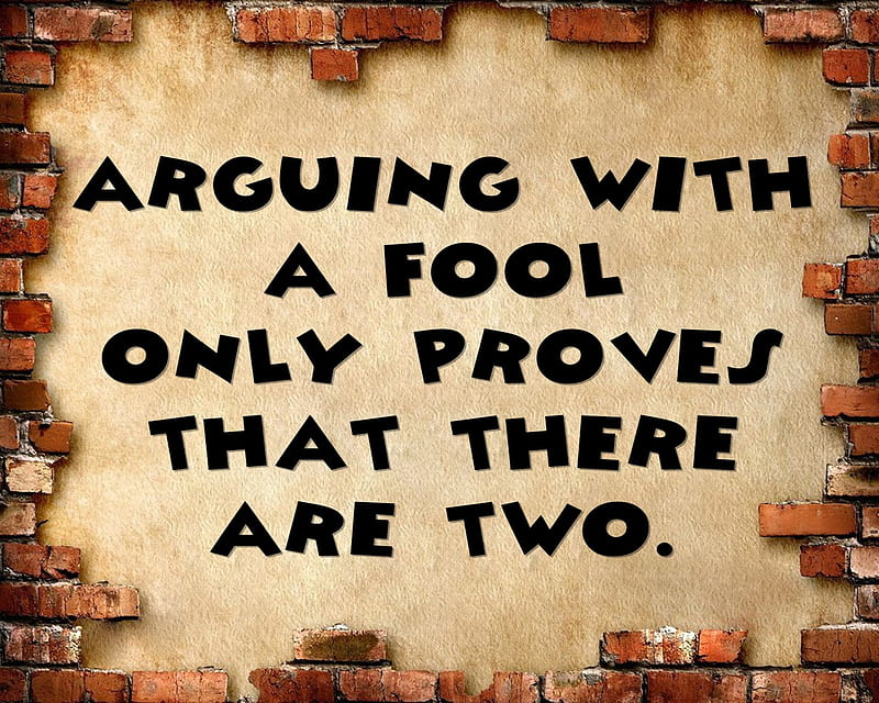 Fools, arguing, cool, fool, life, new, one, proves, quote, saying, two, HD wallpaper