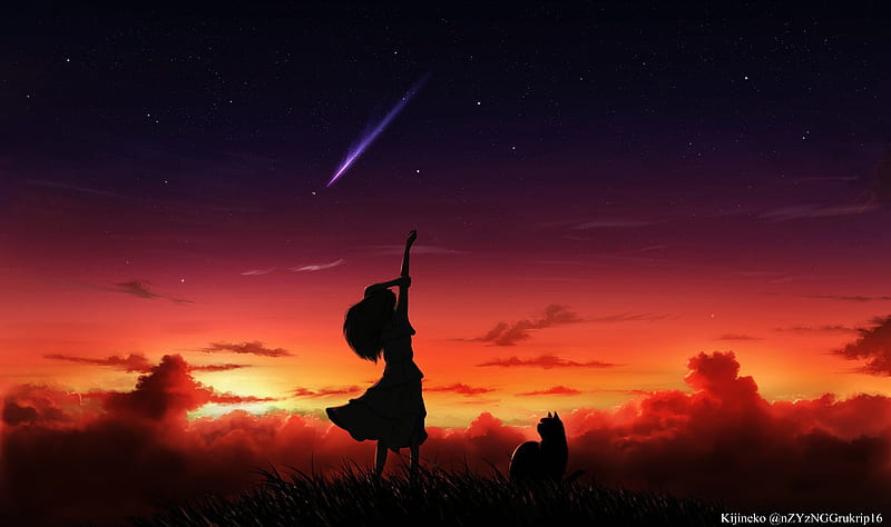 Anime, Sunset, Sky, Stars, Silhouette, Cat, Cloud, Original, Shooting Star, HD wallpaper