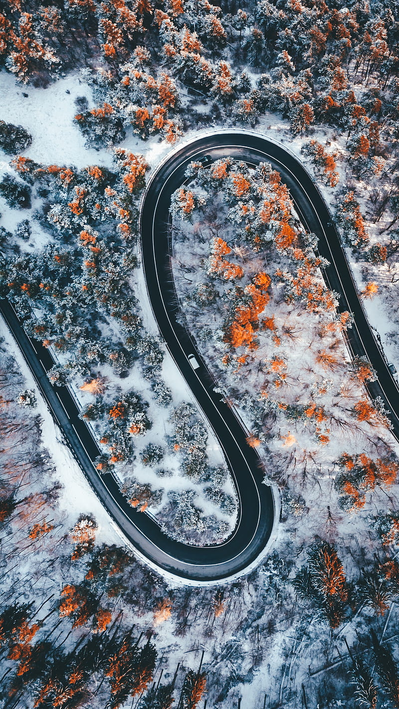 road, winding, trees, snow, panorama, aerial view, zigzag, HD phone wallpaper