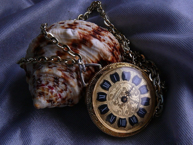 SHELL TIME, still life, clocks, roman numerals, timepiece, watches, chains, shells, HD wallpaper