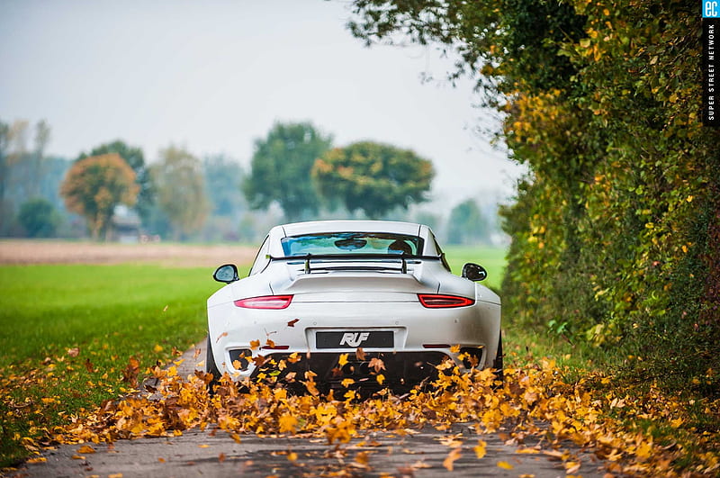 Porsche 911 Autumn, porsche-911, porsche, carros, white, autumn, HD wallpaper