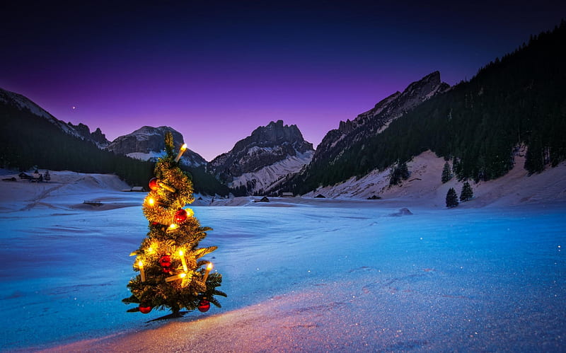 Winter Time, christmas tree, christmas, sunset, sky, snowy, xmas, winter, merry christmas, splendor, snow, mountains, magic christmas, nature, landscape, HD wallpaper