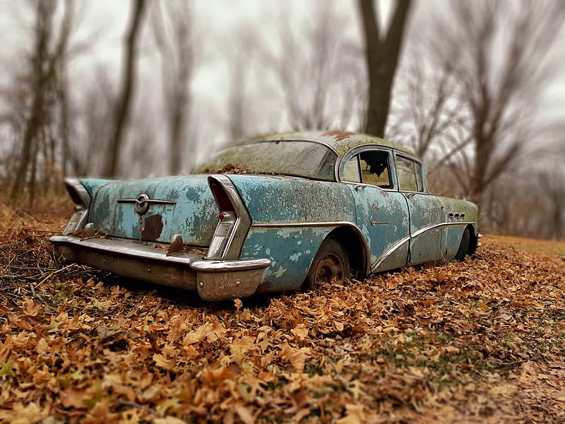 Buick in them leaves, autumn, carros, fall, old car, HD wallpaper