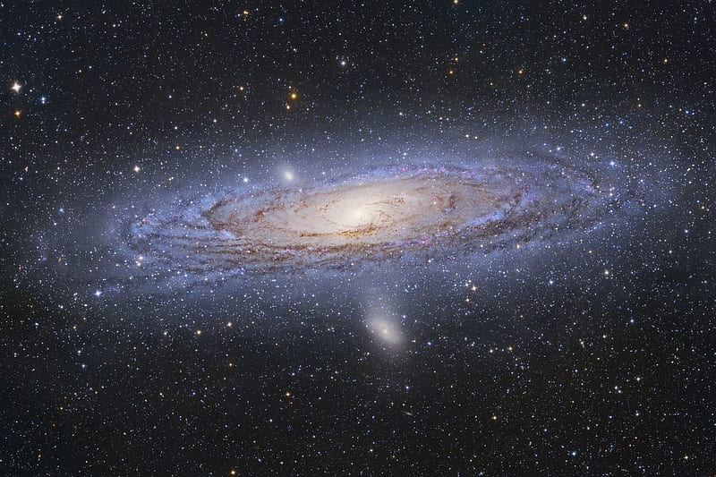 Andromeda Galaxy, andromeda, universe, space, galaxy, HD wallpaper