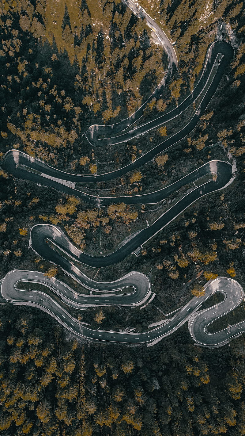 road, winding, aerial view, forest, trees, marking, HD phone wallpaper
