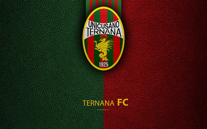Ternana FC Italian football club, logo, Terni, Italy, Serie B, leather texture, football, Italian Football Championships, HD wallpaper